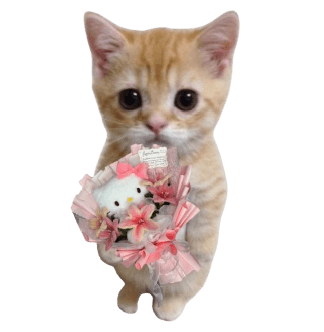 a kitten holding a hello kitty bouquet